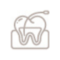 endodontics icon 